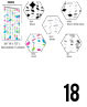 Page#21